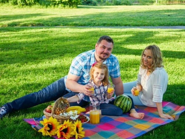 Picnic